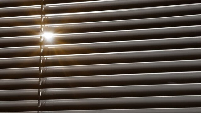 Morning sun beams whining through the window blinds