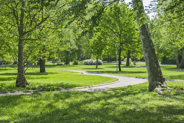 Walking path and forest in the park in the spring