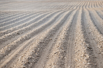 A large plowed agricultural field. Rows of beds ready for new plants. Selective focus