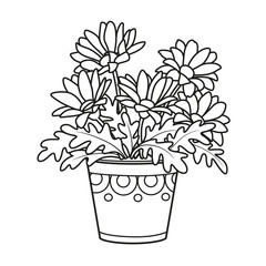 Gerberas or daisies in pot coloring book linear drawing isolated on white background
