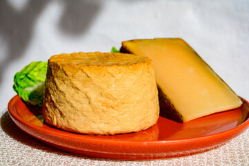 Spanish cheeses collection, pieces of smoked and old matured goat cheeses