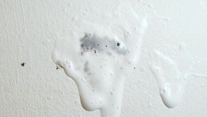 Removing black mold on the wall with sponge and antifungal spray. Cleaning mold-infested wall. Closeup.