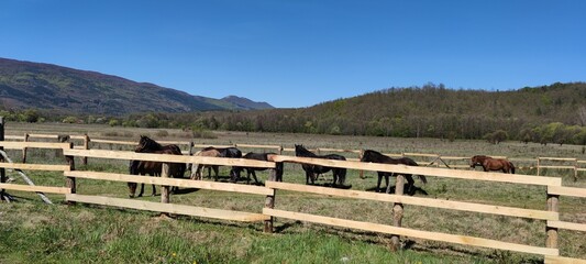 Fototapeta na wymiar fence in the mountains