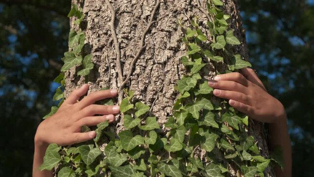 Higging tree trunk during childhood. An eco friendly children embrace the tree and save the forest from deforestation during sunny day.