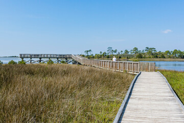 A man in a white tee shirt walking on a boardwalk in a marsh on a clear, sunny, day in Florida.