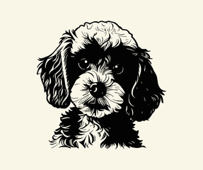 The head of a cute young poodle puppy with kind eyes and a joyful expression on the muzzle, monochrome poodle. Vector