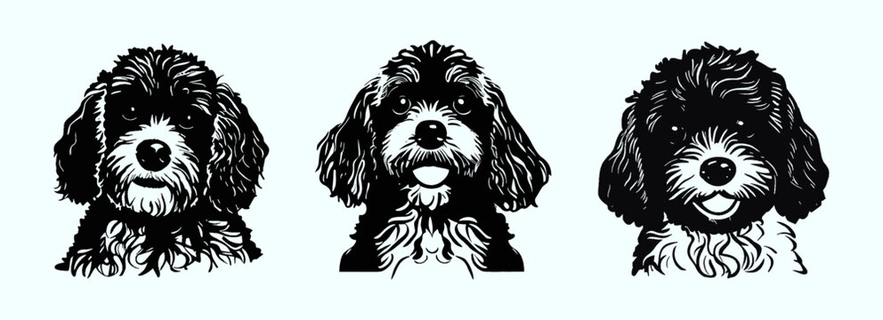 Lovely faces of cheerful Spaniel. Black and white cute, young baby dogs, Spaniel. Vector