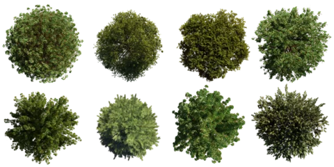 Foto op Canvas trees from above, collection of lush plants isolated on transparent background  © dottedyeti