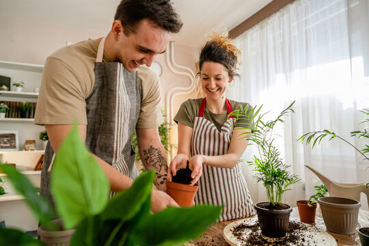 Couple caucasian man and woman wife and husband planting flowers together taking care of home plants real people domestic life family gardening concept copy space