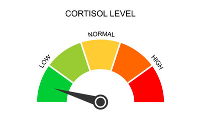 Cortisol meter gauge. Body stress response levels. Round chart with arrow from low to high isolated on white background. Vector flat illustration.
