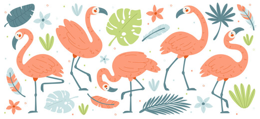 Flamingos poses flat illustrations set. Bird with pink plumage and long legs and neck