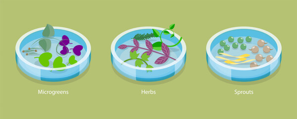 3D Isometric Flat Vector Conceptual Illustration of Microgreen, Herb And Sprouts, Growing Seeds