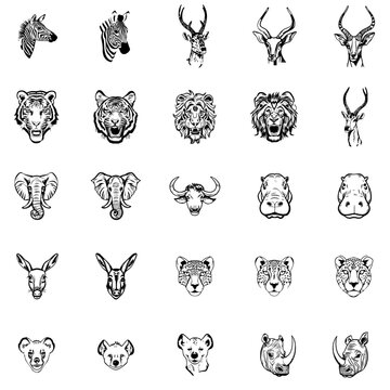 Tiere der Savanne Afrika Skizzen Vektor Grafik | Animals of the Savannah Africa Sketches Vector Graphic