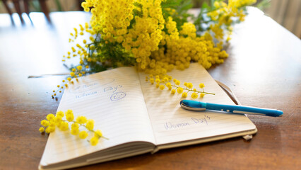 flowers and potted flowers of mimosa a beautiful flower symbol of Women&rsquo;s Day celebrated on March 8