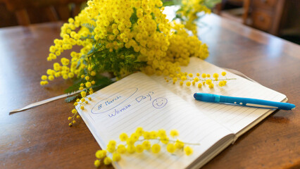 flowers and potted flowers of mimosa a beautiful flower symbol of Women&rsquo;s Day celebrated on March 8