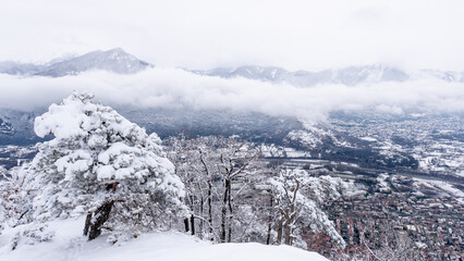 panorama of hills and snowy trees  