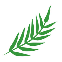 leaf isolated on white