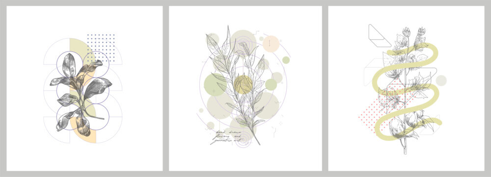 Foliage line art drawing with geometric shape. Hand drawn flowers and geometric art. Set of vector illustration.