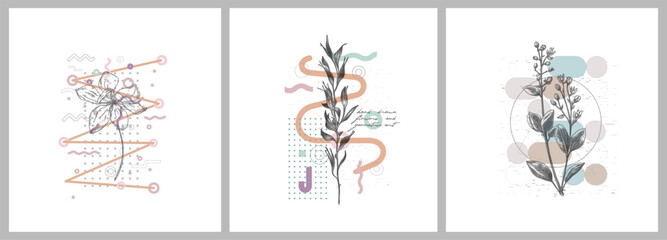 Obraz na płótnie Canvas Foliage line art drawing with geometric shape. Hand drawn flowers and geometric art. Set of vector illustration.