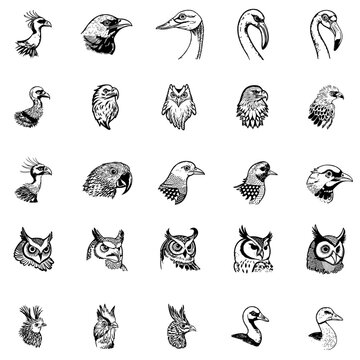 25 verschiedene Vögel Skizzen Vektor Grafik | 25 Different Birds Sketches Vector Graphics