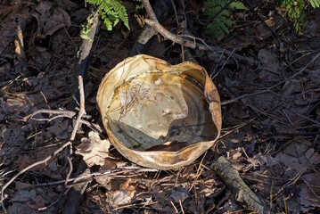 garbage from one big yellow  aluminum can  lies on the gray ground in the street