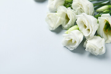 Obraz na płótnie Canvas Delicate eustoma flowers on light background, closeup