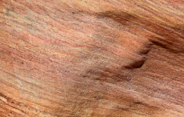 Naklejka premium Sandstone texture - Valley of Fire State Park, Nevada