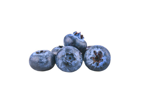  Bilberry ,  Blueberry     Isolated    On  Transparent Png