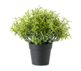 Artificial houseplant on white background