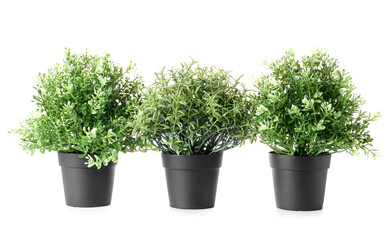 Artificial houseplants on white background
