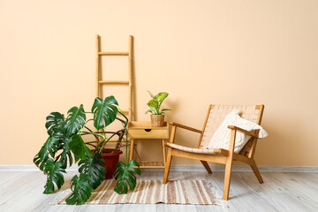 Interior with wooden furniture and tropical houseplants
