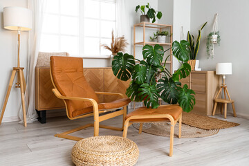 Interior of room in eco style with green houseplants