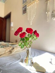 Various and wonderful pictures of historical and natural buildings, roses and flowers from Yemen, Taiz