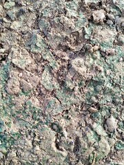 soil texture, abstract background 