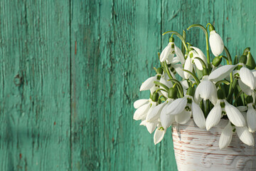 Beautiful snowdrops in vase near green fence, closeup. Space for text
