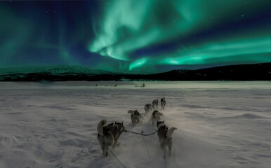 Aurora