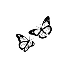 vector illustration of two black butterflies