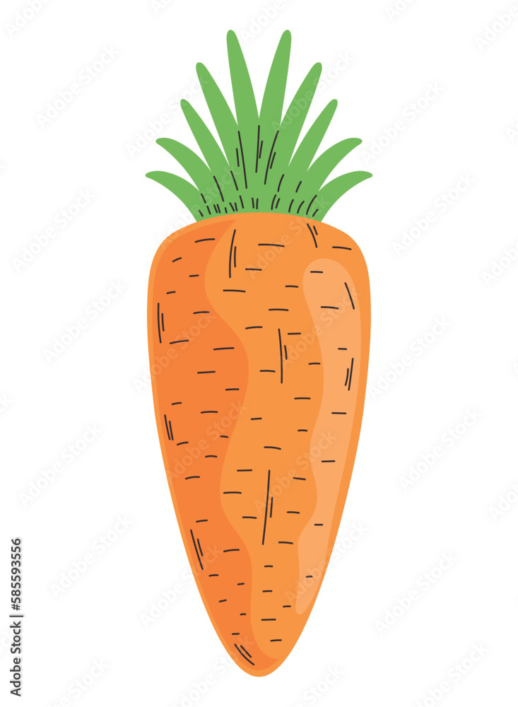 Sticker fresh carrot vegetable