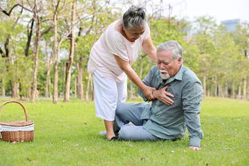 Asian senior man standing and suffering from chest pain or heart attack from walking accident in garden outdoor. Elderly woman caregiver consoling and help him while hugging support. First aid concept
