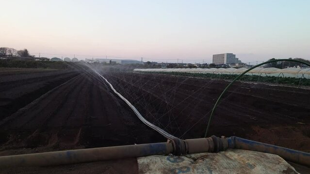 潅水チューブにて、散水している映像。畑
