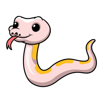 Cute super cinnamon banana ball python cartoon