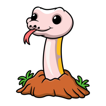 Cute super cinnamon banana ball python cartoon out from hole