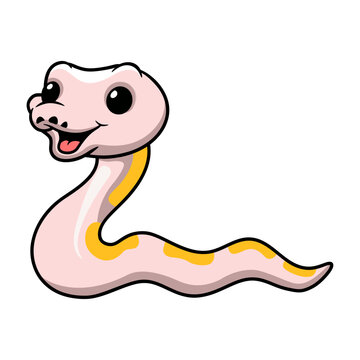 Cute super cinnamon banana ball python cartoon