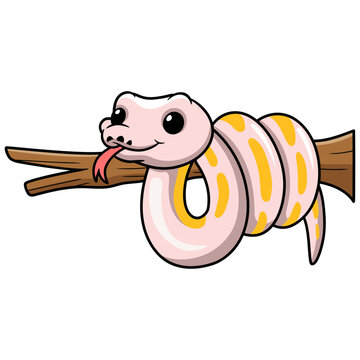 Cute super cinnamon banana ball python cartoon on tree branch