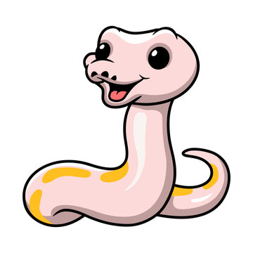 Cute super cinnamon banana ball python cartoon