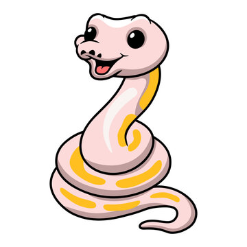 Cute super cinnamon banana ball python cartoon