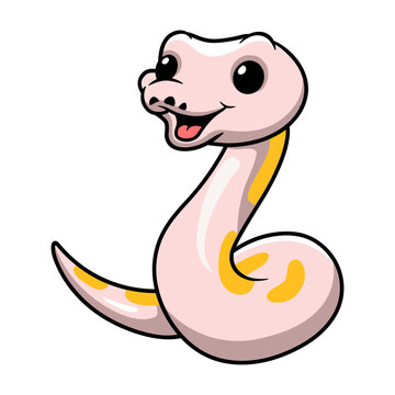 Cute super cinnamon banana ball python cartoon