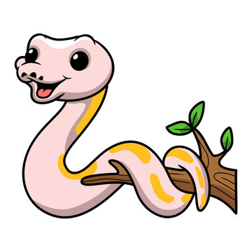 Cute super cinnamon banana ball python cartoon on tree branch