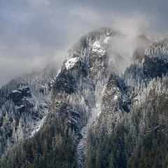 Fotobehang Snow on forested mountainside with low cloud on peak in Washington Cascade Mountains © IanDewarPhotography