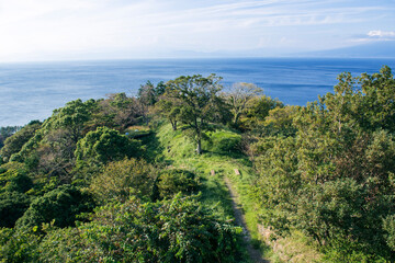 Fototapeta na wymiar 丘からの海の眺め